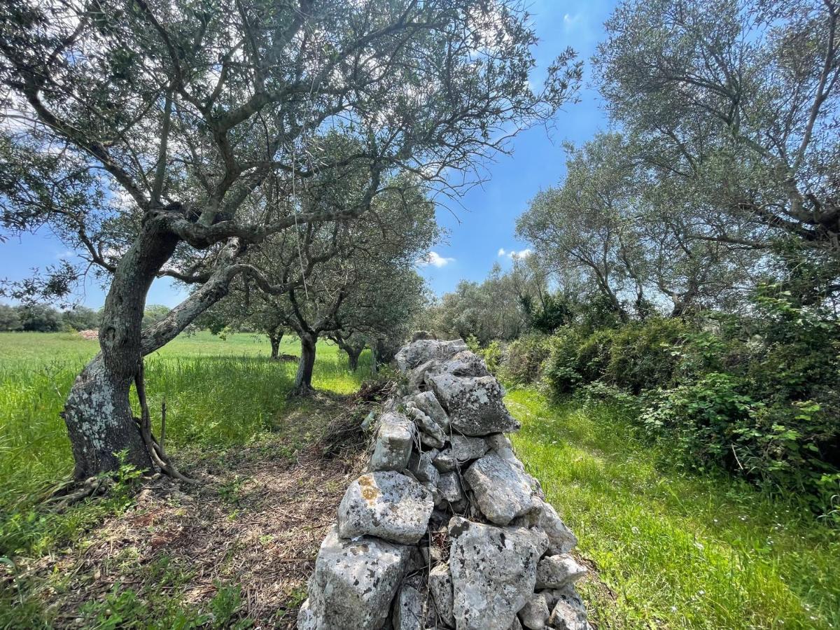 Trullo Trullallero Martina Franca Buitenkant foto